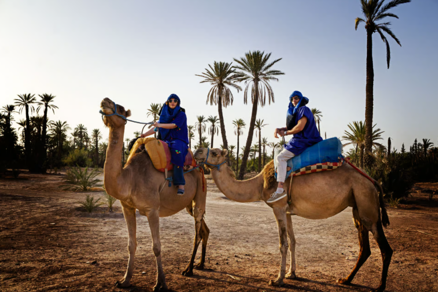 Camel Ride in the Palmeraie